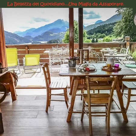Fra Rose E Mughi Bed & Breakfast Domegge di Cadore Ngoại thất bức ảnh
