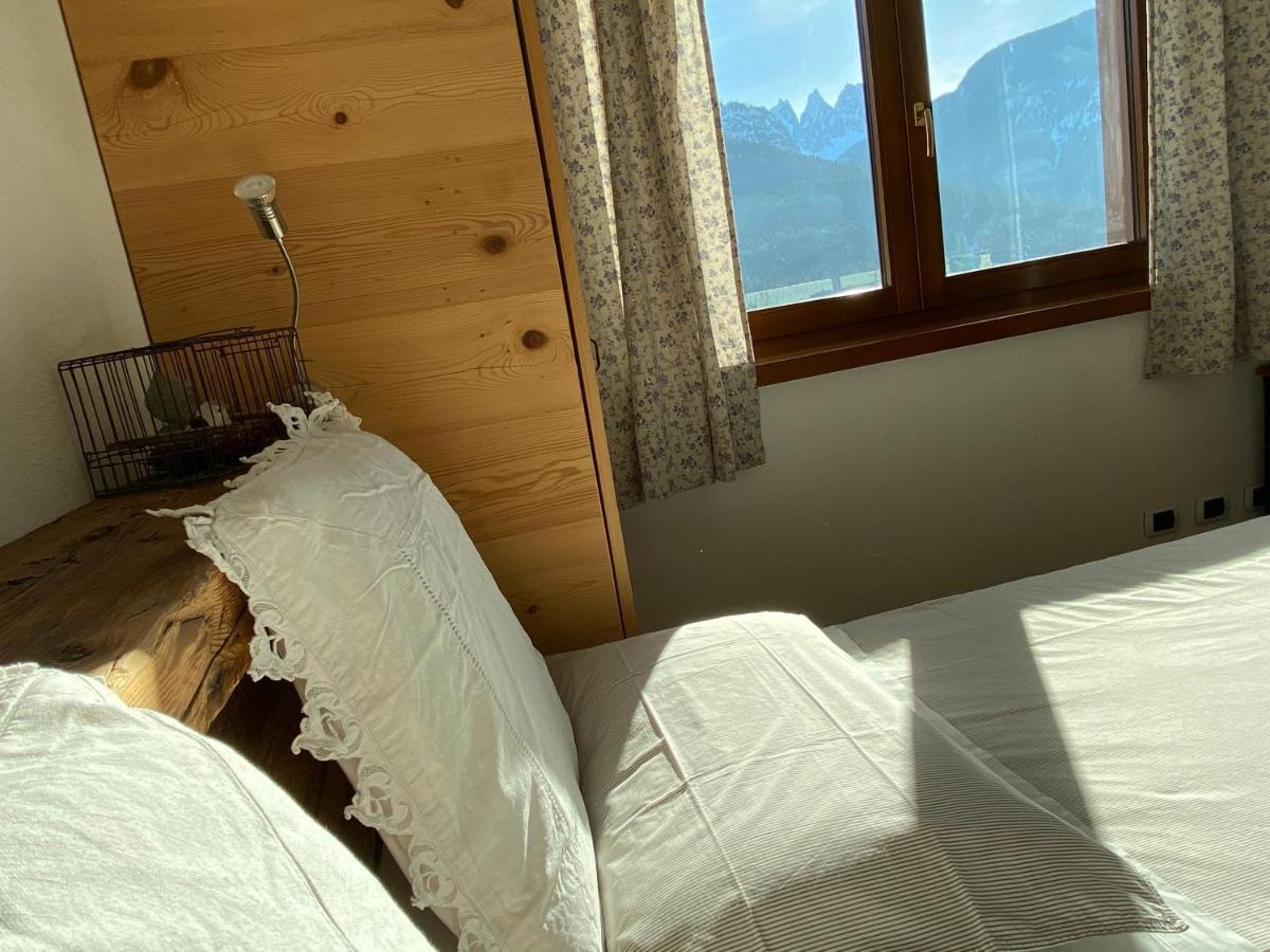 Fra Rose E Mughi Bed & Breakfast Domegge di Cadore Ngoại thất bức ảnh