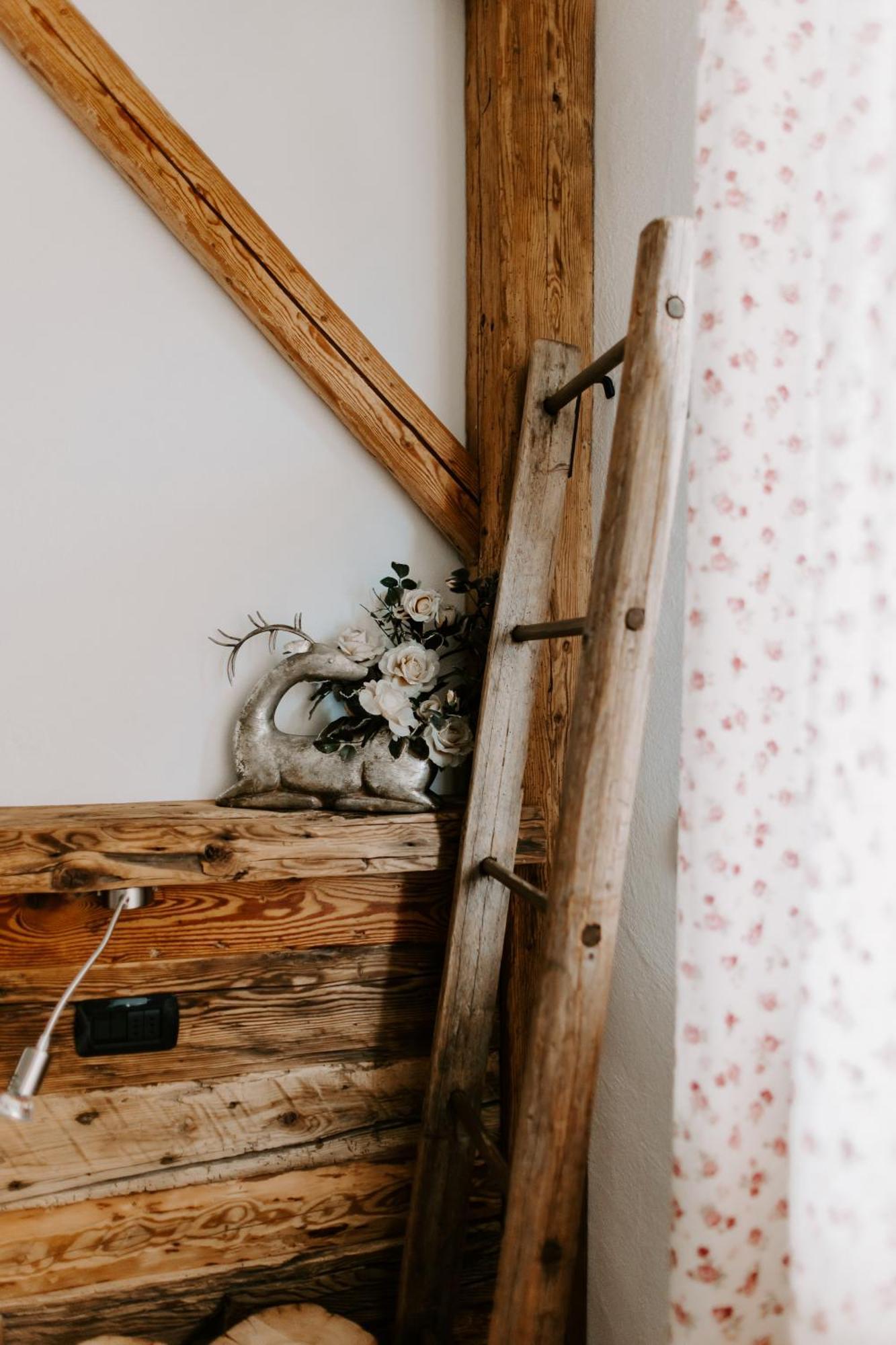 Fra Rose E Mughi Bed & Breakfast Domegge di Cadore Ngoại thất bức ảnh
