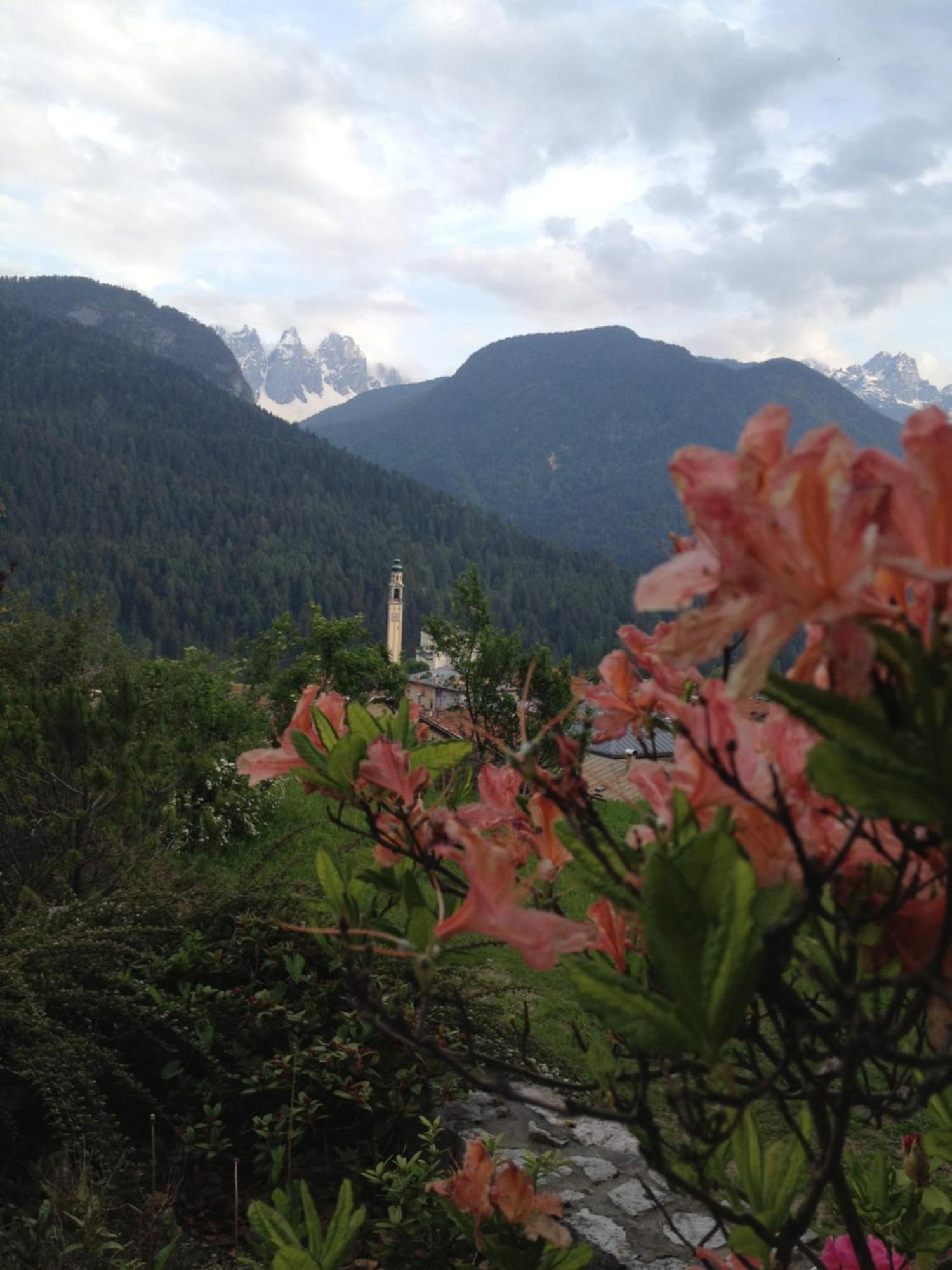Fra Rose E Mughi Bed & Breakfast Domegge di Cadore Ngoại thất bức ảnh