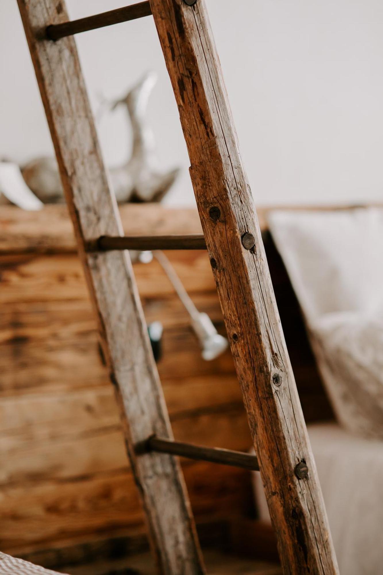 Fra Rose E Mughi Bed & Breakfast Domegge di Cadore Ngoại thất bức ảnh
