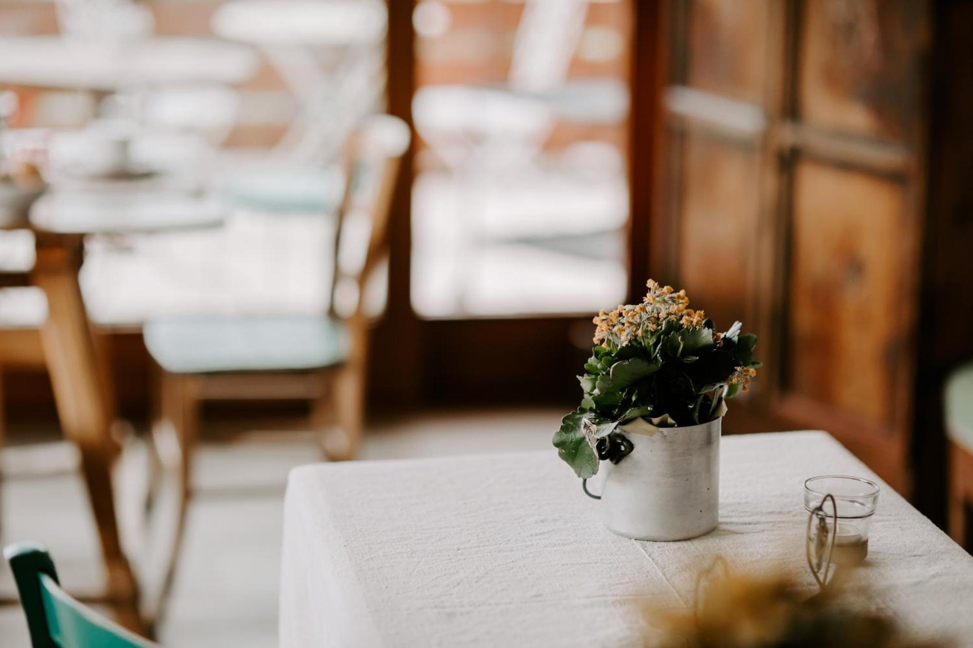 Fra Rose E Mughi Bed & Breakfast Domegge di Cadore Ngoại thất bức ảnh