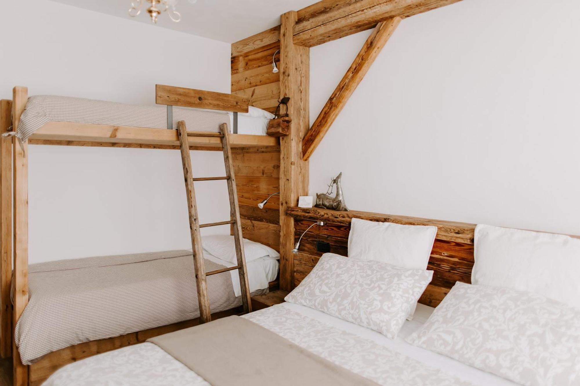 Fra Rose E Mughi Bed & Breakfast Domegge di Cadore Ngoại thất bức ảnh