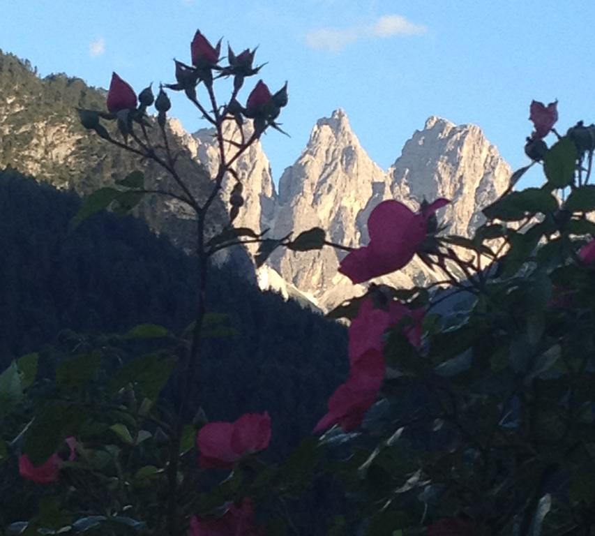 Fra Rose E Mughi Bed & Breakfast Domegge di Cadore Ngoại thất bức ảnh