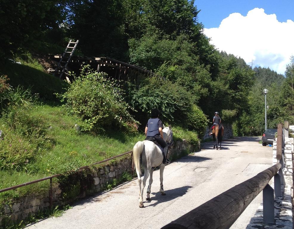 Fra Rose E Mughi Bed & Breakfast Domegge di Cadore Ngoại thất bức ảnh